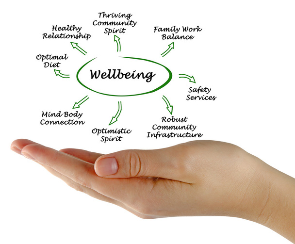 Presentation of Diagram of Wellbeing - Photo, Image