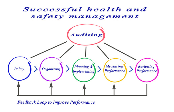 Diagram van geslaagd beheer van gezondheid en veiligheid - Foto, afbeelding