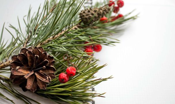 Christmas background with tree branch, rowan berry, cones. Selective focus. - 写真・画像