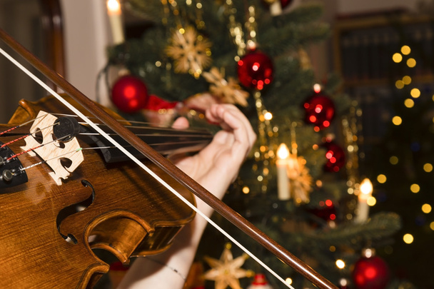housle s vánoční stromeček - Fotografie, Obrázek