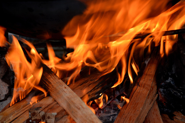 firewood in the fireplace hearth cooking - 写真・画像