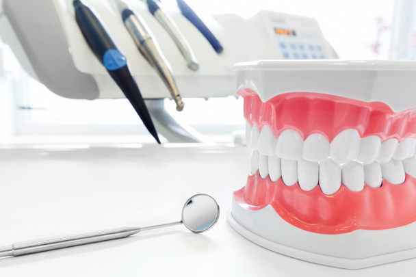 Καθαρό δοντιών γνάθου οδοντιατρική μοντέλο, - Φωτογραφία, εικόνα