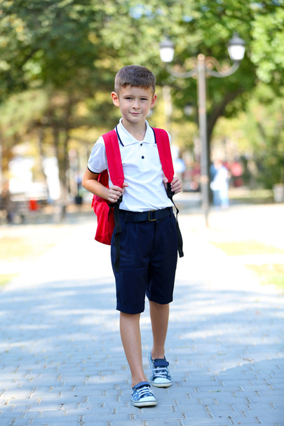 Little boy with school bag - Fotoğraf, Görsel