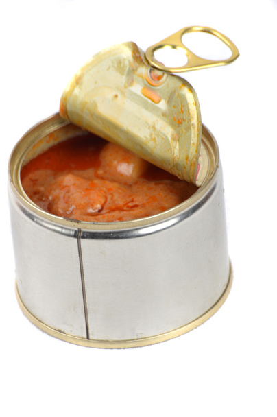 curry chicken in canned isolated on white background - Photo, Image