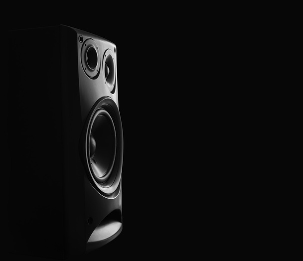 Musical loud speaker - Photo, Image
