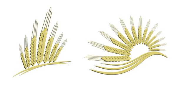 Logo gold wheat. - Vector, Image