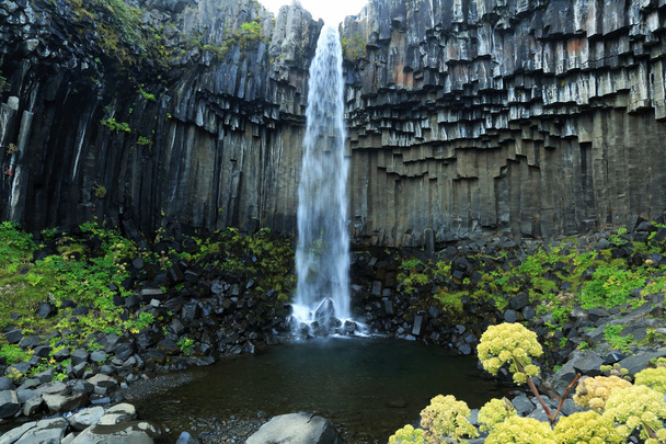 Svartifoss waterfall in Skaftafell national park in Iceland - Photo, Image