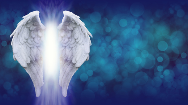 Angel vleugels op blauwe Bokeh Banner - Foto, afbeelding