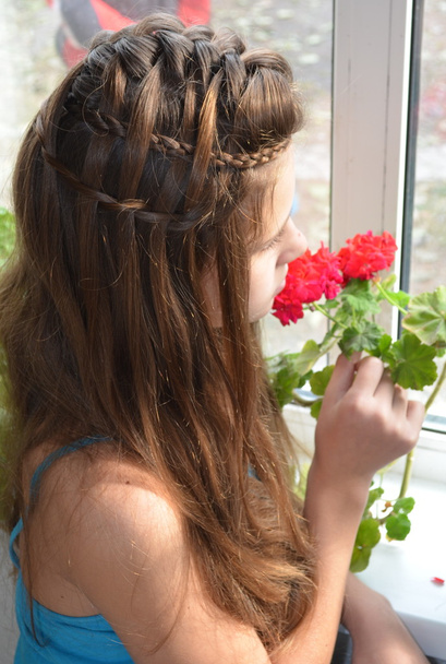 Tyttö ikkunan lähellä pelargonioita
 - Valokuva, kuva