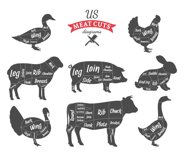 Amerikai (Us) húst darabolt diagramok - Vektor, kép