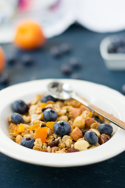 homemade granola with blueberries and dried apricots - Photo, Image