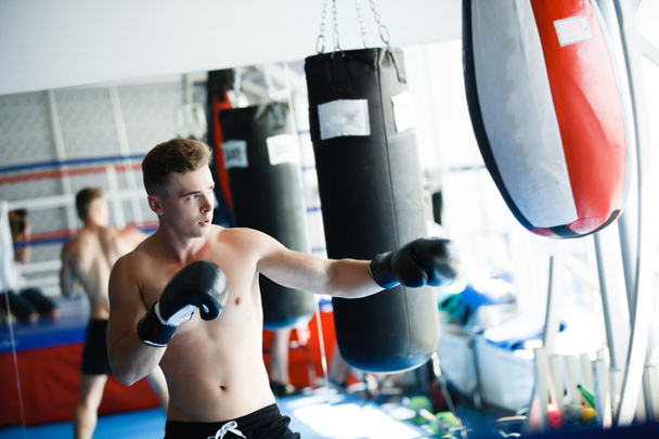 Action boxer gloves in training attitude - Φωτογραφία, εικόνα
