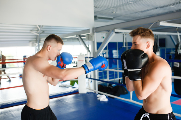 Strong boxer and opponent during a box fight in ring - Φωτογραφία, εικόνα
