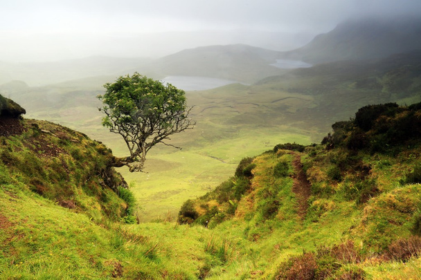 Paysage de l'île écossaise de Skye
. - Photo, image