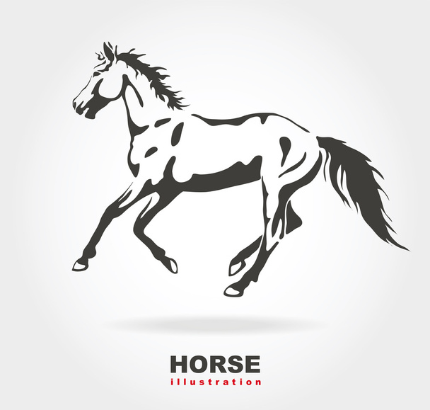 Horse. Vector illustration on white. - Вектор,изображение