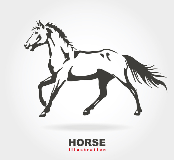 Horse. Vector illustration on white. - Вектор,изображение