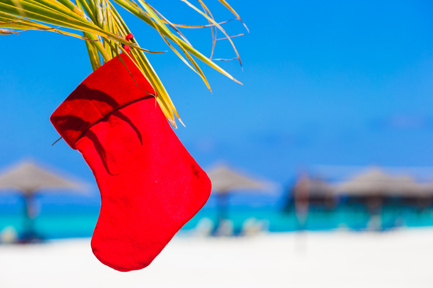 Roter Weihnachtsstrumpf auf Palme am tropischen Strand - Foto, Bild