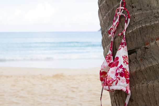 Bikini-Oberteil hängt an einer Palme auf tropischer Insel - Foto, Bild