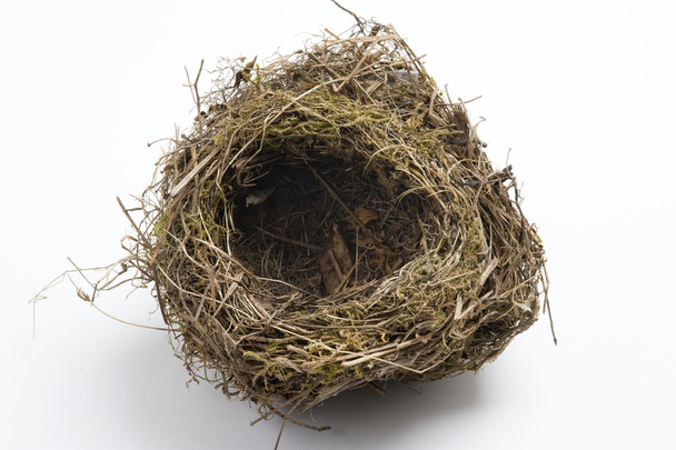 Птичье гнездо
 - Фото, изображение