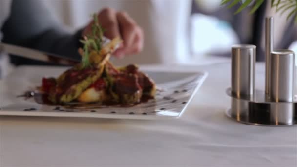Close up dishes with appetizing food - Footage, Video