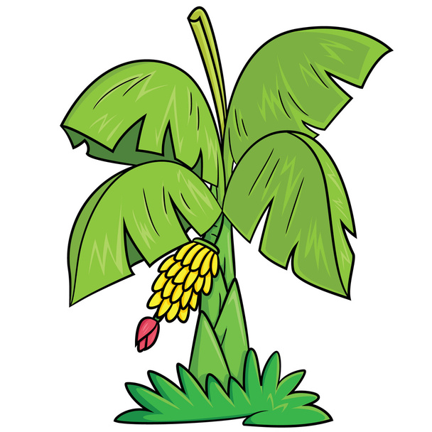 Karikatura banán strom - Vektor, obrázek