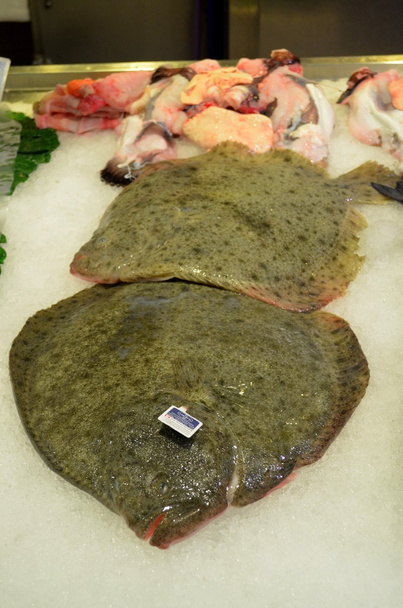 Turbot świeżych ryb - Scophthalmus maximus na targu rybnym - Zdjęcie, obraz