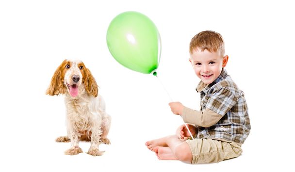 Happy boy and dog breed Russian Spaniel playing with a balloon - Фото, изображение