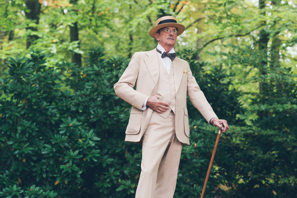 Gazdag idősebb férfi öltöny - Fotó, kép