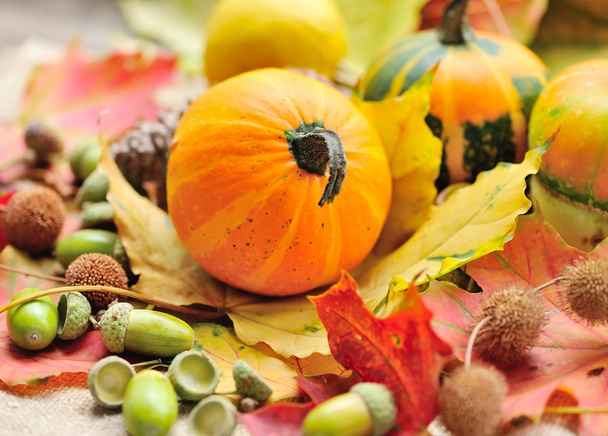 Mini decorative pumpkins with acorns on autumn leaves - Photo, Image