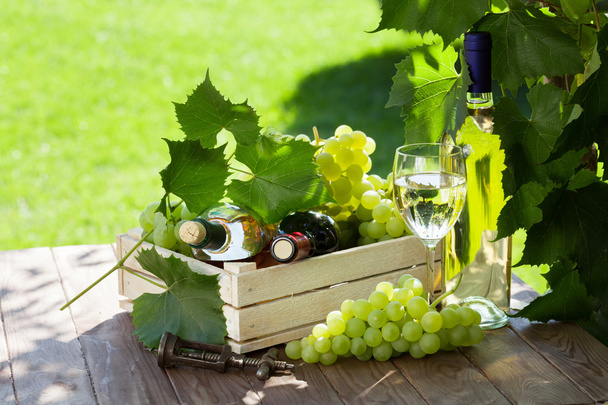 Білі та червоні пляшки вина та виноград
 - Фото, зображення