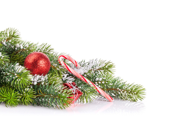 branche d'arbre de Noël avec neige et décor
 - Photo, image
