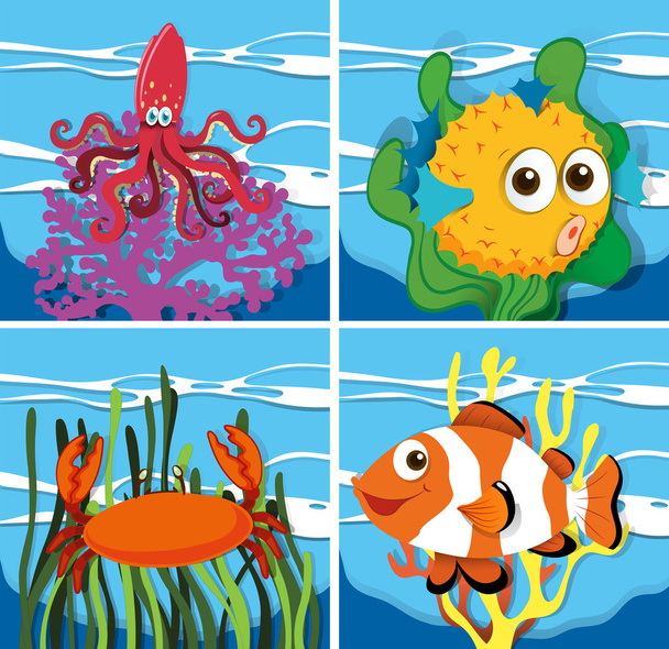 Diferentes tipos de vida marina
 - Vector, imagen