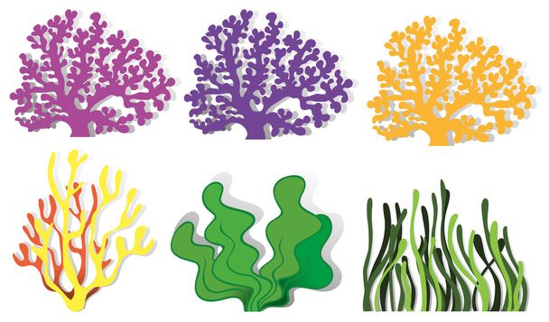 Różnego rodzaju rafy koralowe - Wektor, obraz