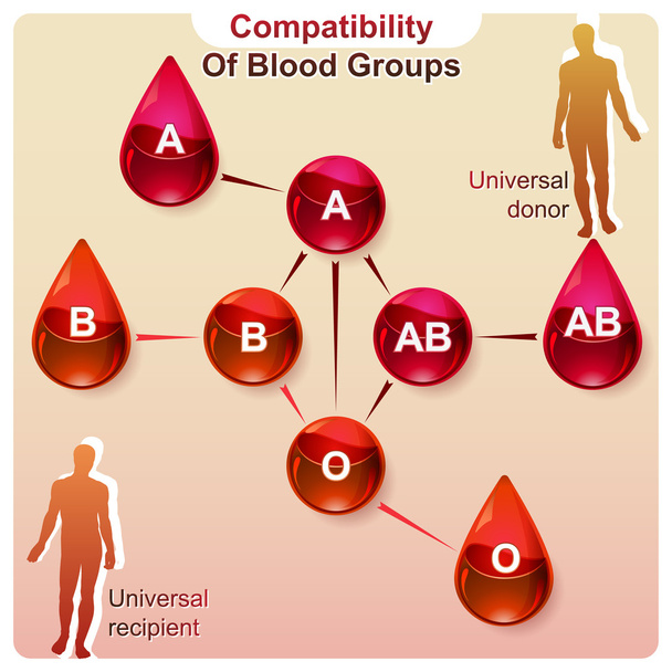 compatibilidade dos grupos sanguíneos
 - Vetor, Imagem