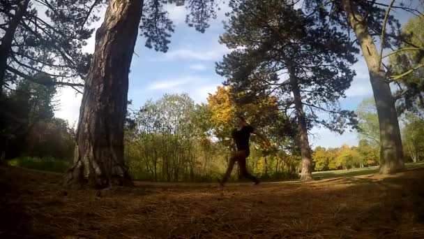 Chlapec skočí Salto na strom v parku, slowmotion - Záběry, video