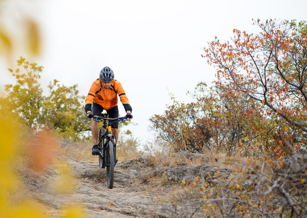 美しい秋の登山道で自転車に乗って自転車 - 写真・画像