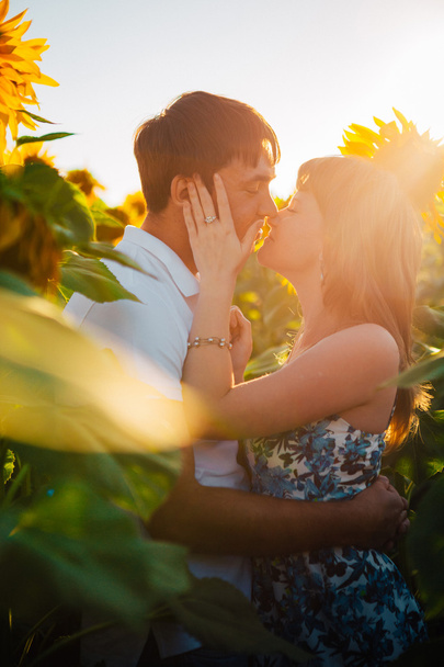 Romantikus pár állt, és a háttér nyáron a területen napraforgó sunset csók - Fotó, kép