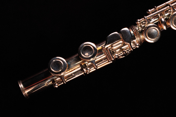 Поперечная флейта
 - Фото, изображение