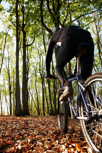 Ciclista de montaña en el bosque
 - Foto, Imagen