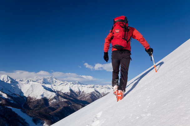 Kırmızı erkek dağcı - Fotoğraf, Görsel
