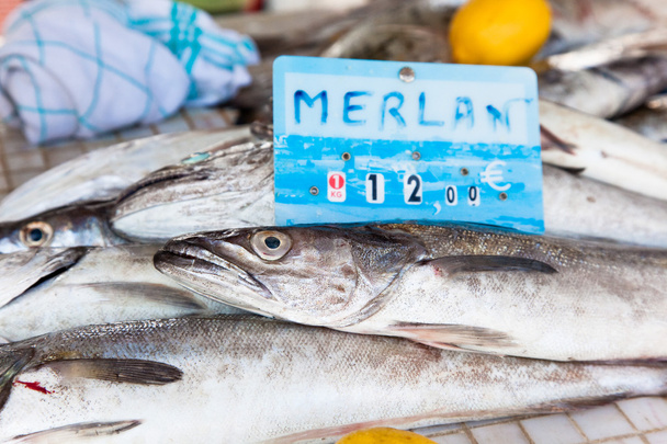 pescado de merlán en el mercado de mariscos
 - Foto, imagen