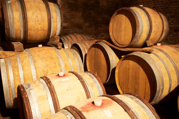 vineyard cellar view - Photo, Image