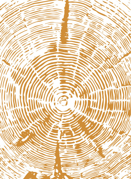 Вектор поперечного перерізу дерева пеньків
 - Вектор, зображення