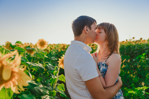 Romantic couple standing and kissing on background summer  field sunflower sunset - Foto, Bild