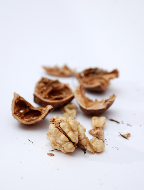 Walnuts and  nut shells on white - Fotografie, Obrázek