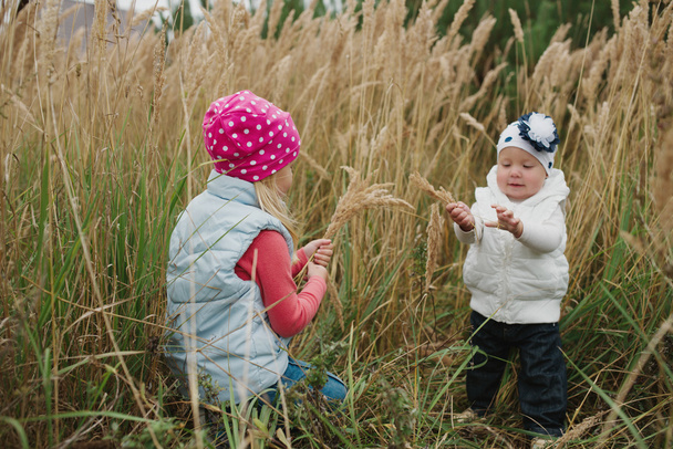 little girls in high grass portrait - Foto, Imagen