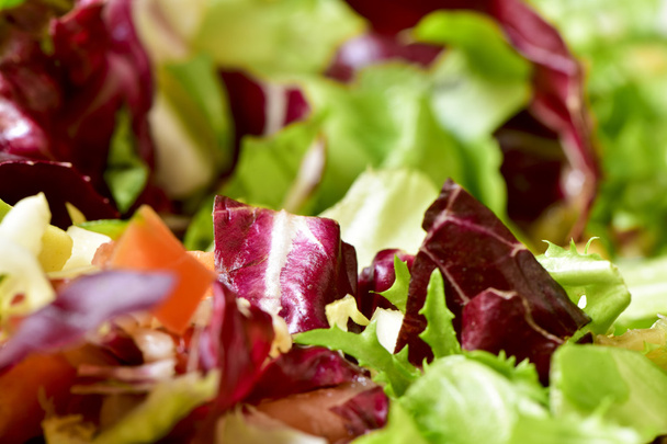 feche uma chapa com uma salada verde
 - Foto, Imagem