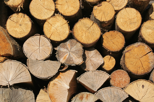 φόντο ξύλου κλειδαριές - Φωτογραφία, εικόνα