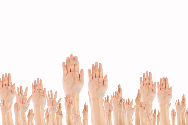 Разнообразные поднятые руки. Разнообразные поднятые руки
 - Фото, изображение