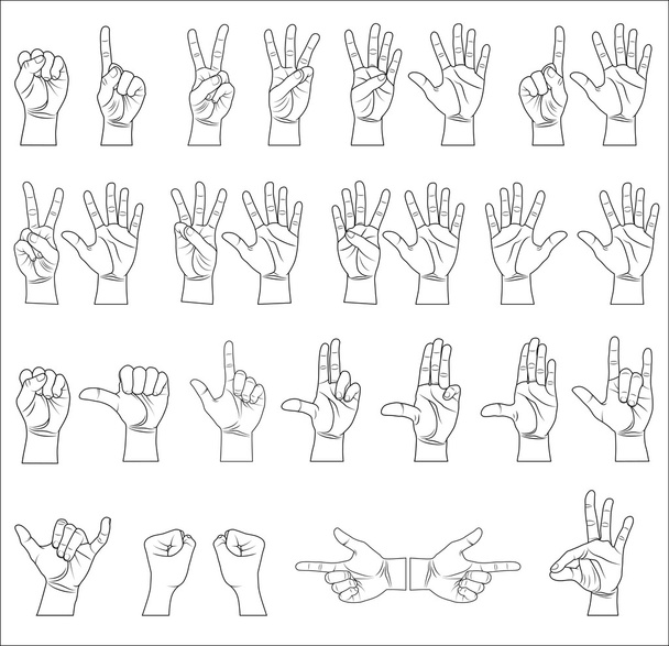Hand collection - vector line illustration - Vector, Image